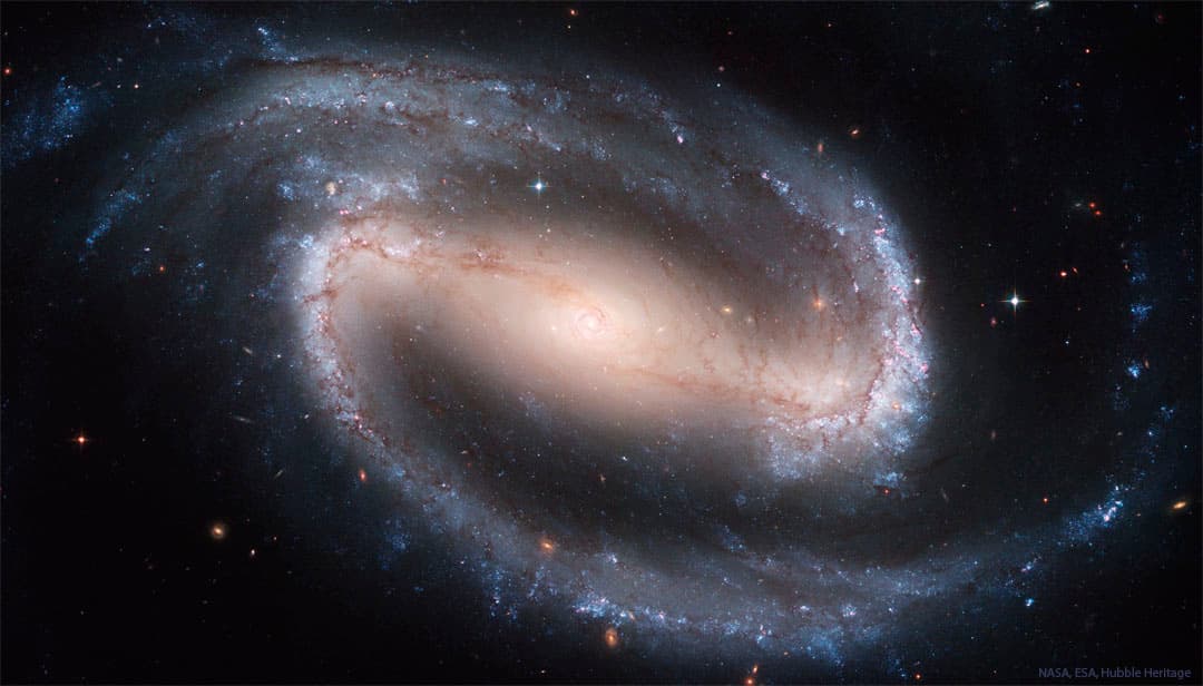 NGC 1300: Barred Spiral Galaxy | © · undefined