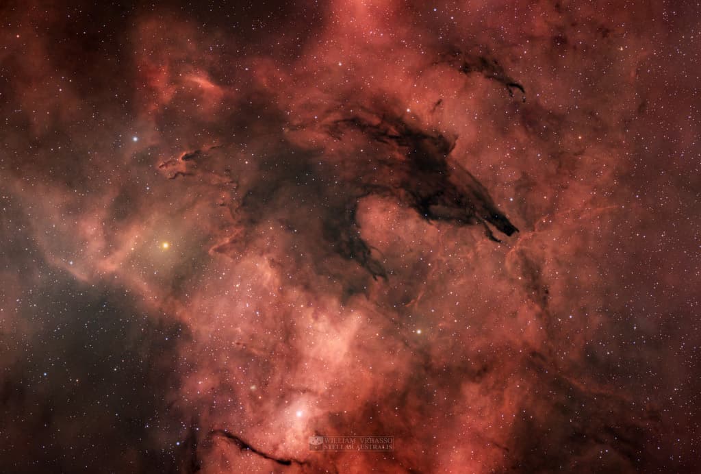 The Dark Wolf Nebula | © · William Vrbasso

Text:
Keighley Rockcliffe  
(NASA
GSFC, 
UMBC CSST, 
CRESST II)