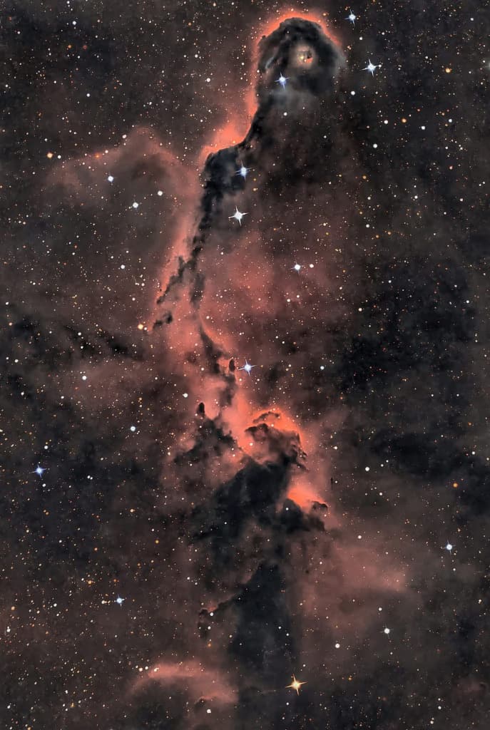 The Elephant's Trunk in Cepheus | © · Eddie Sgarbossa