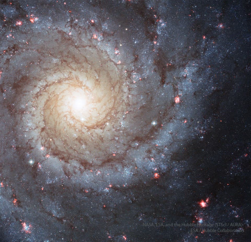 M74: A Grand Design Spiral | © · undefined