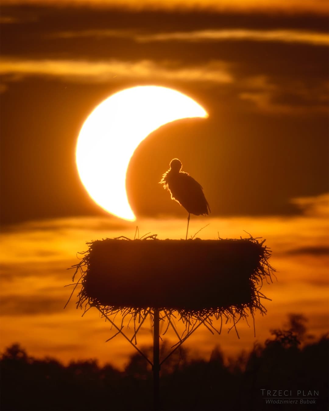 The Eclipse and the Stork | © · Włodzimierz Bubak
Text:
Cecilia Chirenti
(NASA
GSFC,
UMCP,
CRESST II)